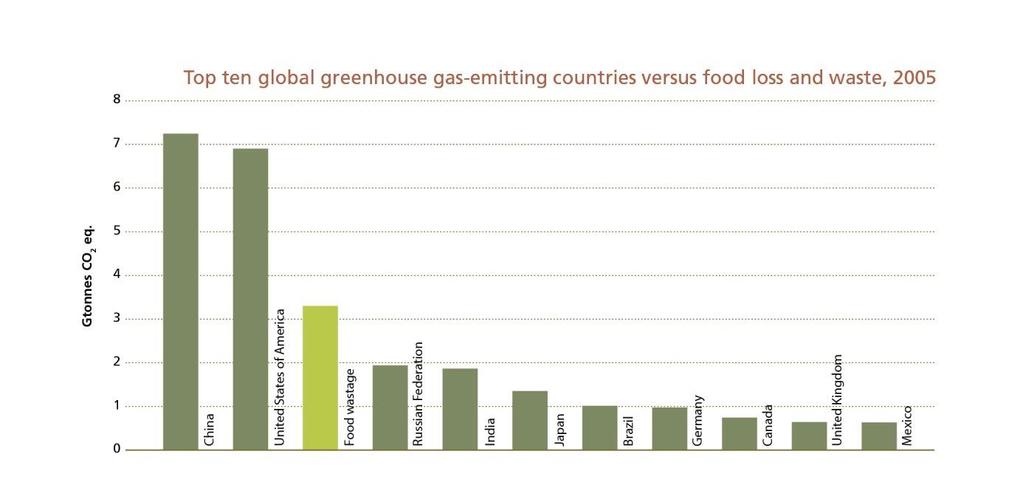 1/3 of food lost or wasted SOURCE: GLOBAL GREENHOUSE