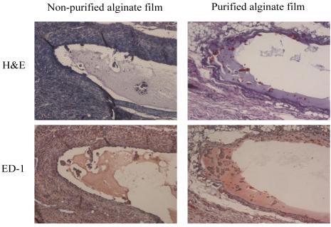 Review ArticleInflammation reaction of scaffold for regenerative medicine 183 Fig.
