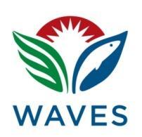 Natural Capital Accounting and the WAVES Global Partnership (Wealth Accounting and Valuation