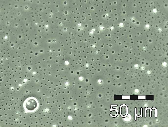 Particle Size Reduction Drug Nanoemulsion (cancer