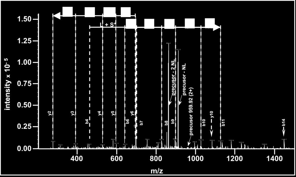 Attributed y and b ions are indicated on the spectrum.