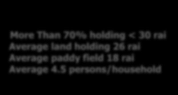 Average land holding 26 rai Average paddy