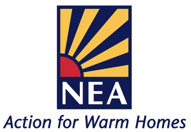 IN FROM THE COLD: The funding gap for non-gas fuel poor homes under ECO and a proposal to fill it A report by National Energy Action for