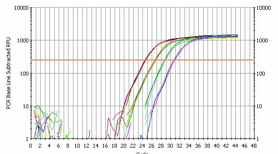 5. Warm up the icycler system for 15 20 min before use. Use the following protocol for a general SYBR Green PCR assay: Cycle 1: ( 1X) Step 1: 95.0ºC for 00:30 Cycle 2: ( 45X) Step 1: 95.