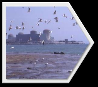 Our Nuclear Reactors Today &
