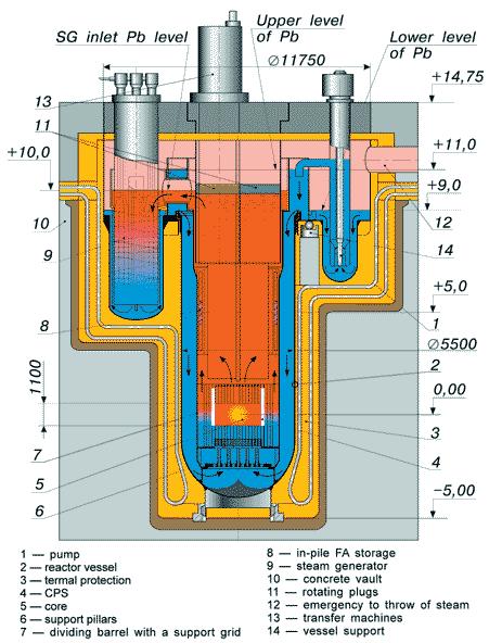 generator (SG) and the main coolant pumps are installed outside the reactor vessel. The reactor and the SGs are located in the thermally shielded concrete vault, without using a metal vessel.
