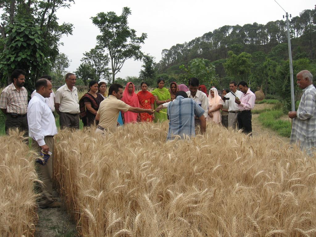crop, most farmers expressed happiness and satisfaction at the results.