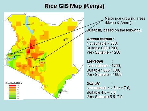MAJOR RICE GROWING AREAS IN KENYA 3 :