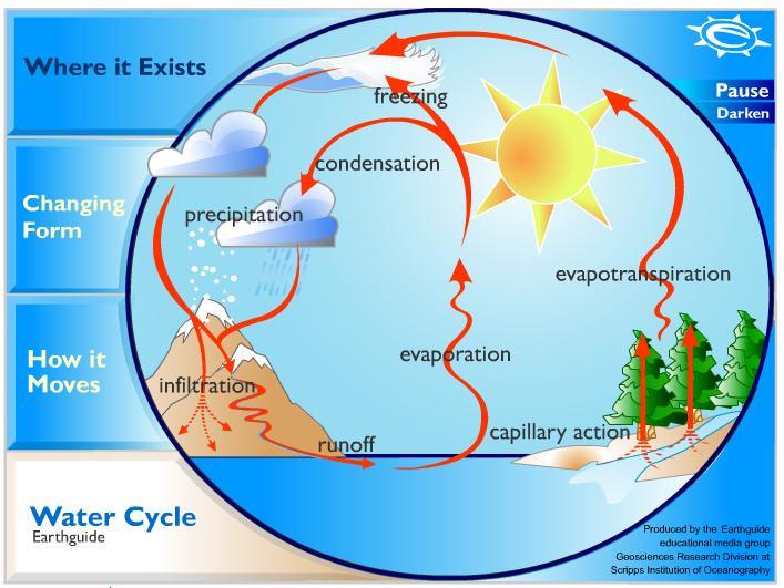 The Water Cycle The Water Cycle All living things require water to