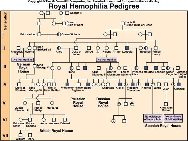 Hemophilia is a sex-linked recessive trait defined by the absence of one or more clotting factors. These proteins normally slow and then stop bleeding.