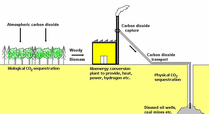 Carbon dioxide capture and storage linked with bioenergy.