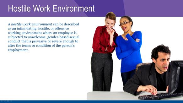 HOSTILE WORK ENVIRONMENT A hostile work environment can be described as an intimidating, hostile, or offensive working environment where an employee is subjected to unwelcome, gender-based sexual