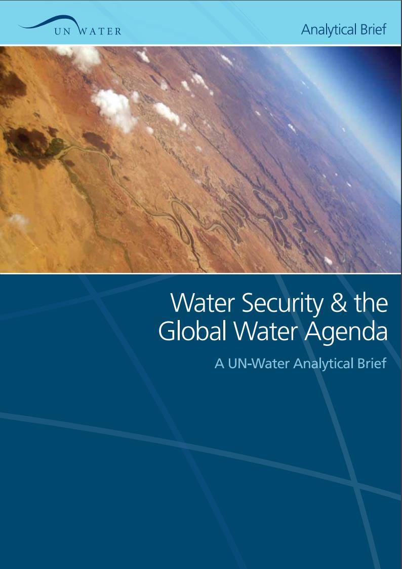 What is Water Security?