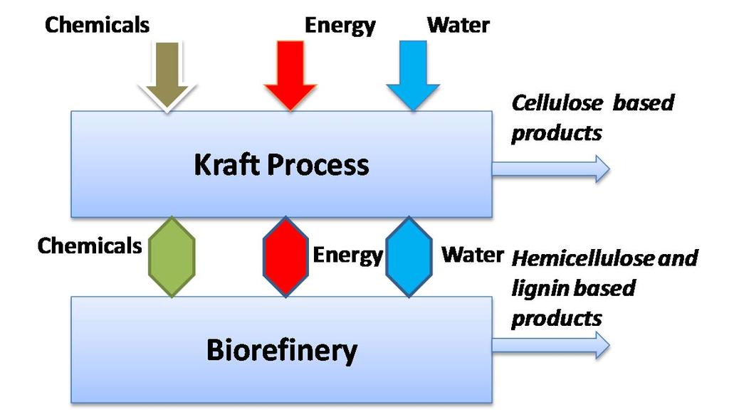 Energy and Material Optimization For a successful biorefinery development, the use of resources (energy, water and chemicals)
