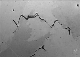 Figure 11. Character of propagation of solidification cracks (indicated by arrows) in weld metal obtained with wire Inconel 52MSS ( 200) Figure 13.