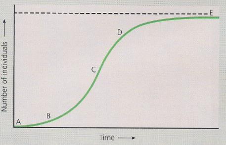 Question 18 refers to the diagram below. 18. Which point on the curve above reflects the selection most like that of an elephant, a K -selected species that has reached its carrying capacity?