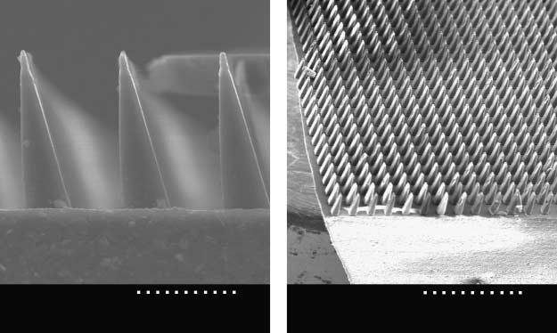 225 (a) (b) 7532 25 kv 8 38 µm 22625 25 kv 4. 75 µm Figure. Scanning electron microscope images of microfabricated wedge-shaped adhesive array.