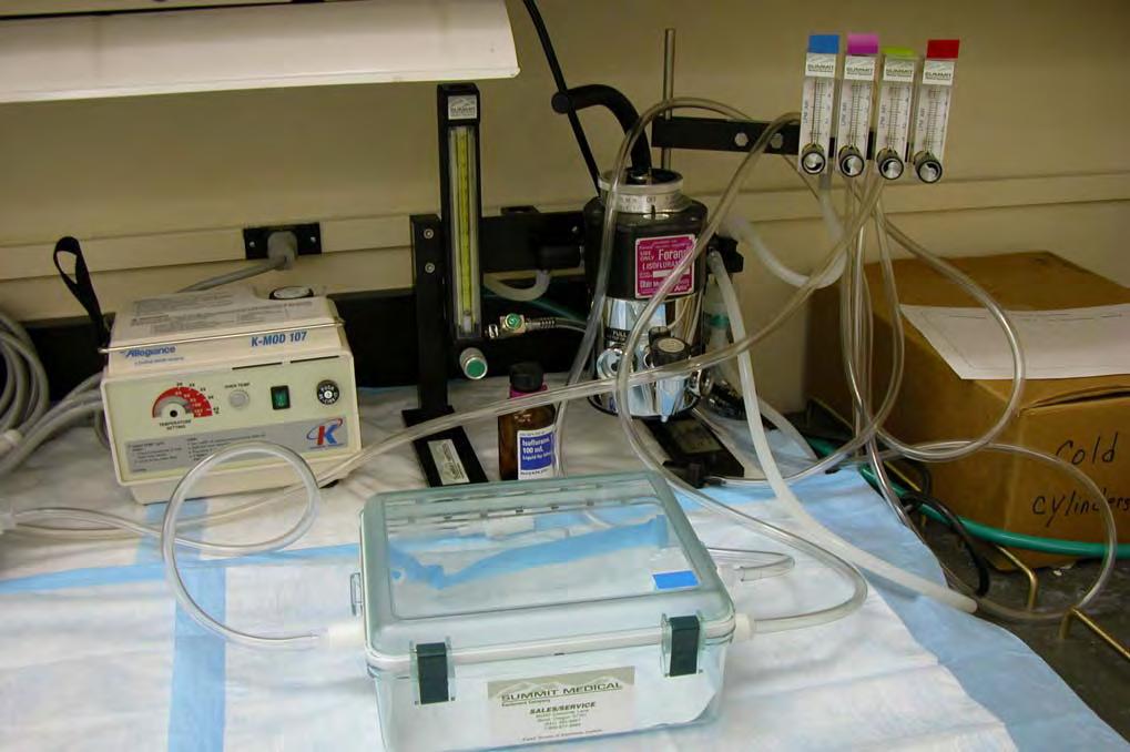 Conventional Anesthesia Configuration Conventional anesthetic user requires flow meters, which must be readjusted any time concurrent use is