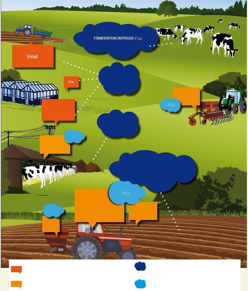 Enteric Fermentation Fuel Gas Energy (CO 2 ) Equipment Electricity Effluents (CH 4 /N 2 O) Livestock food CO 2 Agricultural Soils (N