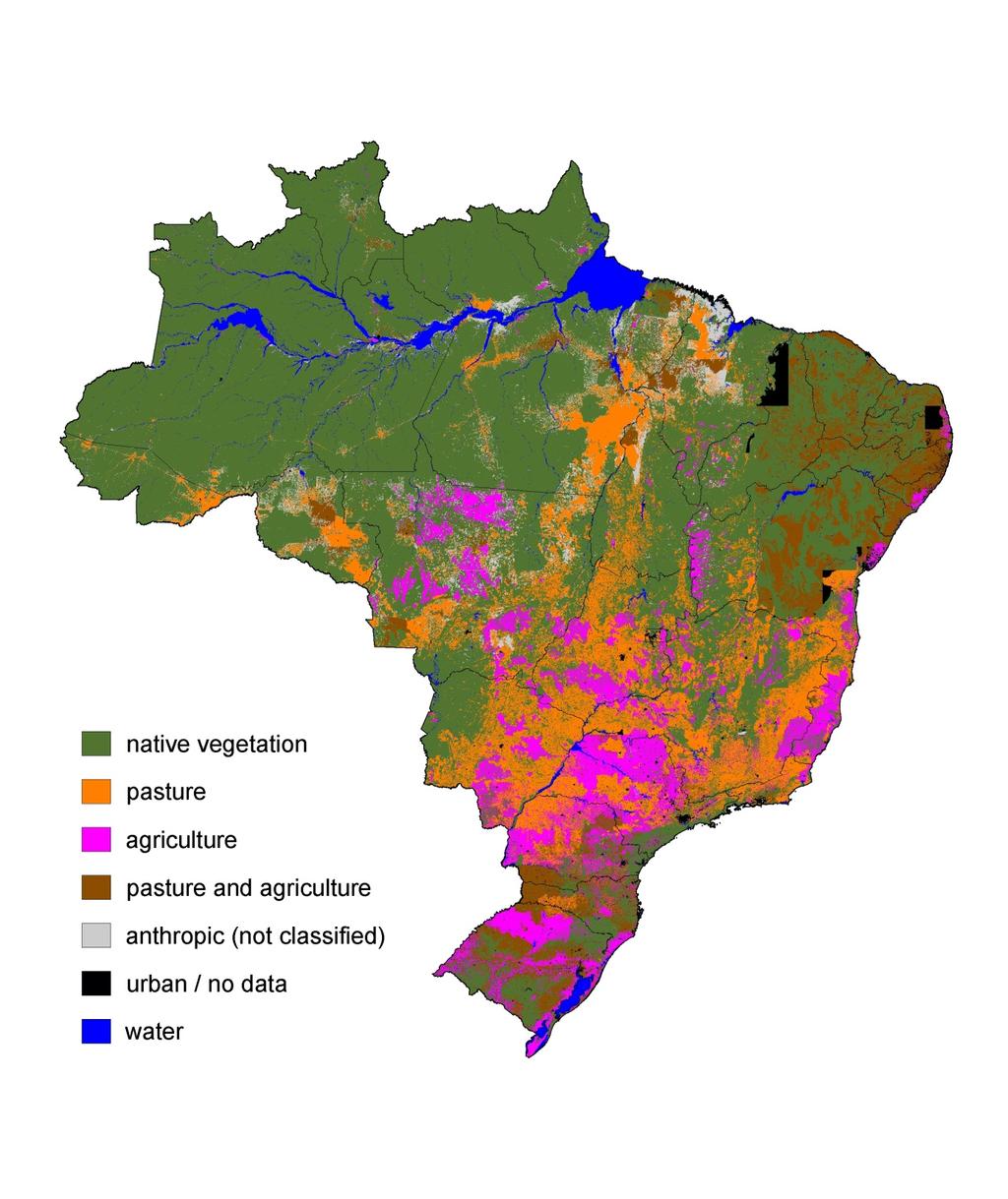 slide 11 of 20 Pastures A Brazil s case Natural vegetation Pasture Crop Mixed (C & P) Other Urban & no data Water Where it is