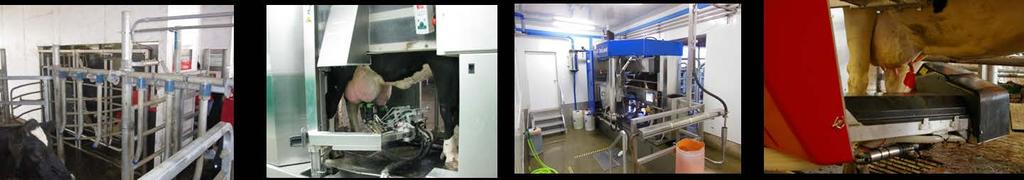 Development of Robotic Milking Robotic milking systems first became commercially available in 1992 in Europe.