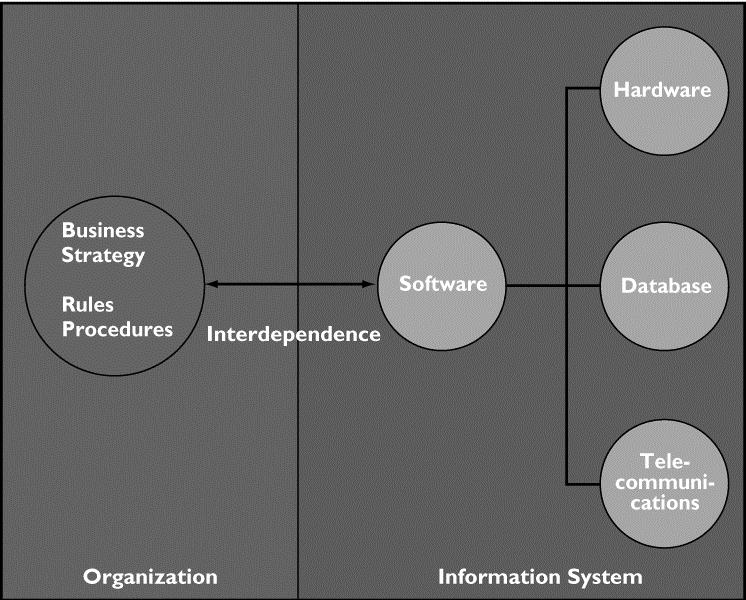The New Role of Information System The Widening Scope of Information System The Widening Scope of Information System The Network Revolution and the Internet New Options for Organizational Design