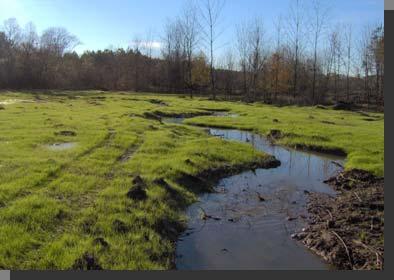 Stream Restoration and Water Quality Reconnect the