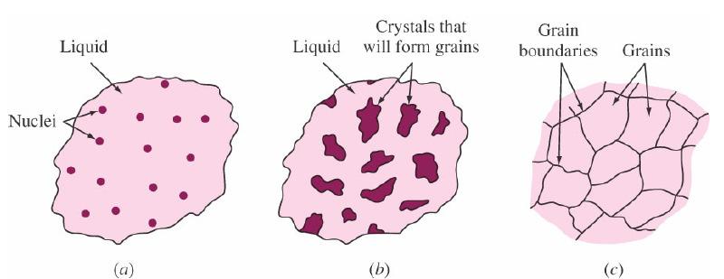 Solidification of Metals Solidification proceeds in steps: Solidification of Metals Nucleation of a new phase (formation of small clusters (embryos or nuclei) in the melt and reach a critical size)