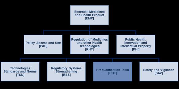 Structure of the Prequalification Team Prequalification Team Coordinator s office Vaccines Assessment Medicines
