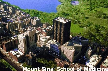 Multiscale Biology Icahn School of Medicine at Mount Sinai, New York, USA Email: bin.