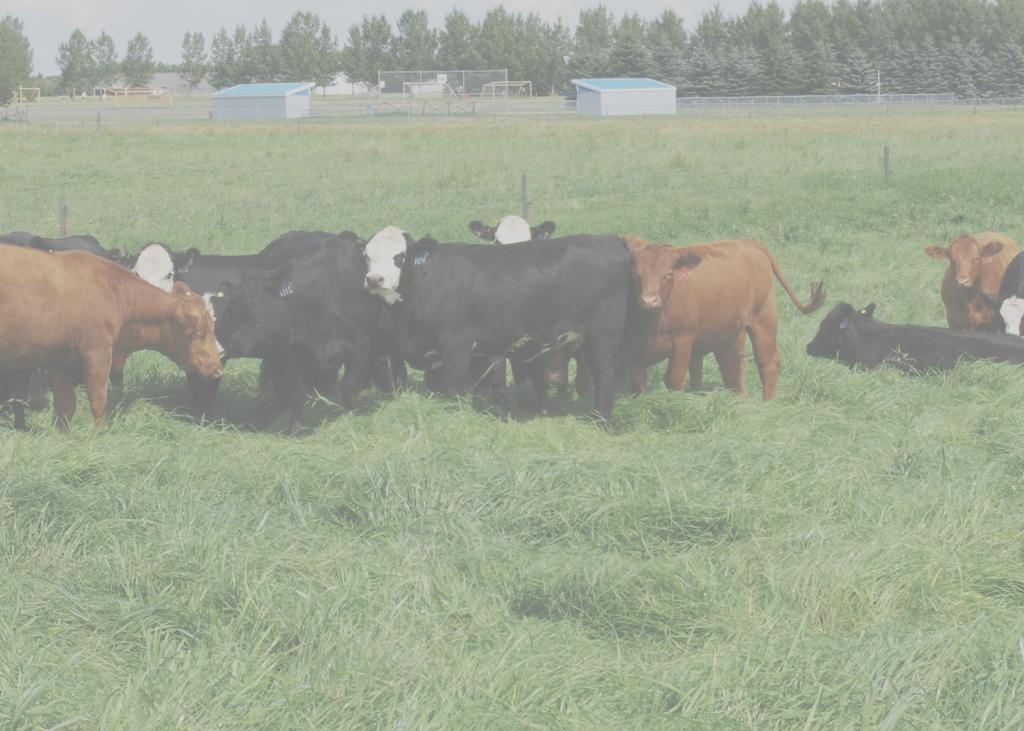 Genomic breed composition Relationship between breed composition by pedigree and genomic-based breed composition in crossbred beef heifers (Lacombe Research and Development Centre; 2015