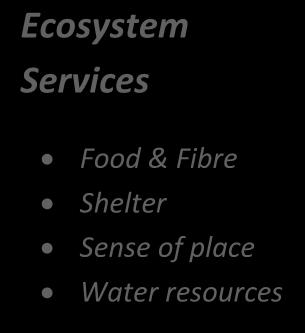 Food & Fibre Shelter Sense of place Water resources Under-valuing