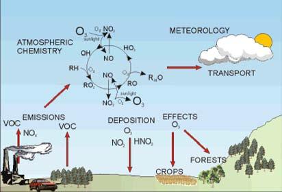 Summary Ozone is a pale blue gas with a strong odor. Tropospheric ozone is toxic to all living things that breathe it or come in contact with it, including human beings and plants.