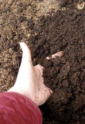 soil before planting Soil test to