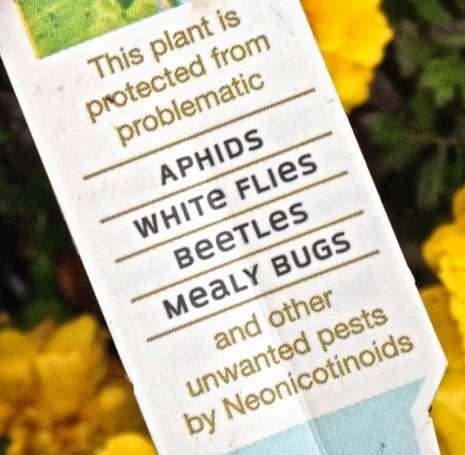 Neonicotinoids All are toxic or highly toxic acute toxicity Systemic: Transported to all parts of plant, including