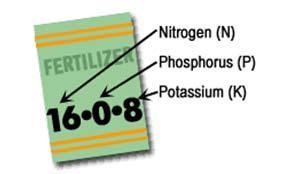 Phosphorus Essential nutrient for life Cyclic between