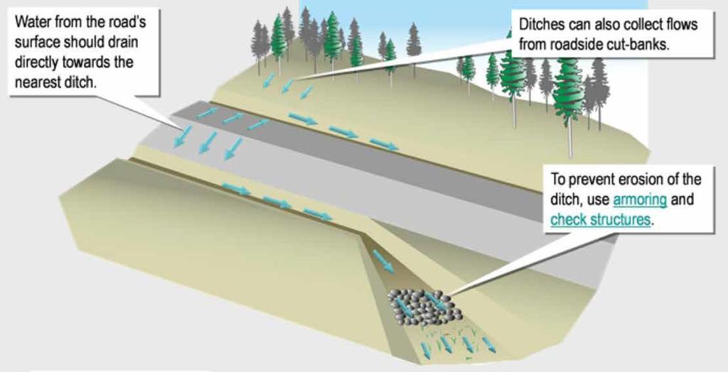An effective ditch should direct water into the forest around the road at frequent intervals rather