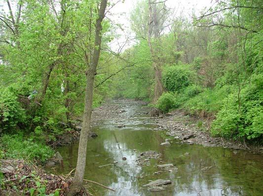 Stream Corridor Condition and Protection Undisturbed Streams Undisturbed riparian corridors are located in watersheds with little or no development.