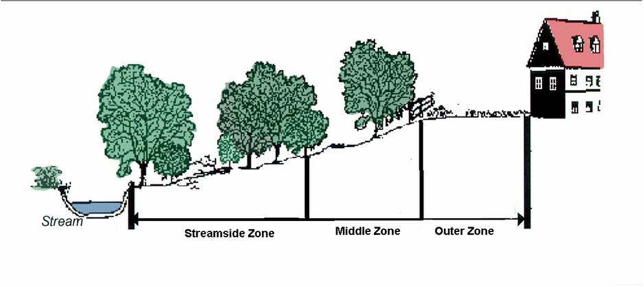 Stream Corridor Condition and Protection The middle zone may vary to include the entire floodplain and contiguous slopes greater than 15 percent. 3.