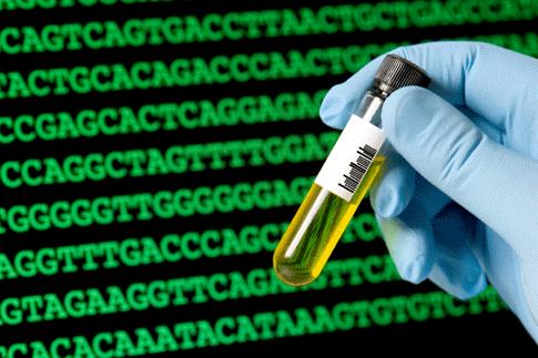 Analyze the DNA of people with and without a particular disease Tally the SNPs that are found in people with disease Use to identify SNPs that predispose individuals to that