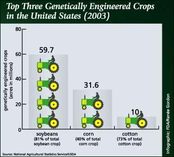 Top 3 GE crops in the US In 2008, 92% of the soybeans and 80% of the corn planted in the US had been genetically engineered Why