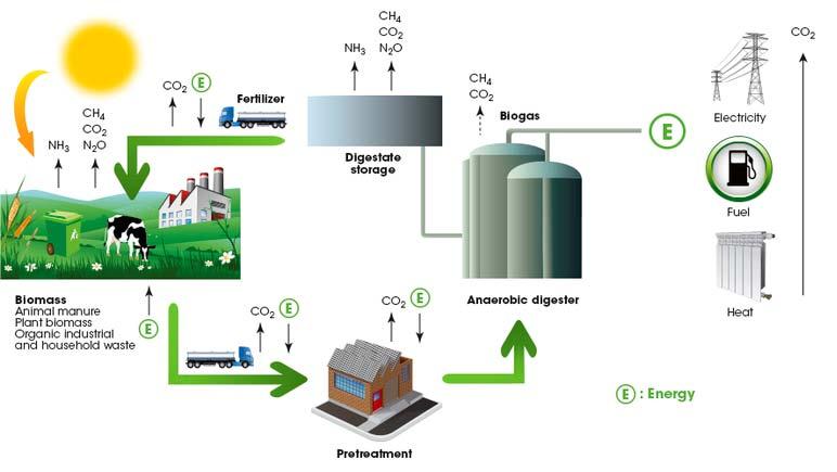 Objective Develop model integrating value chain and biogas and environmental models.