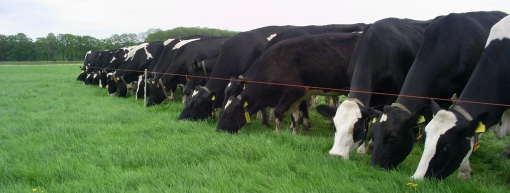Innovations in grazing Technical support Decision support tools for farmers