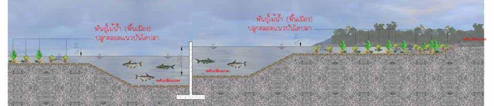 Fish Ladder of Pak Chom and Ban