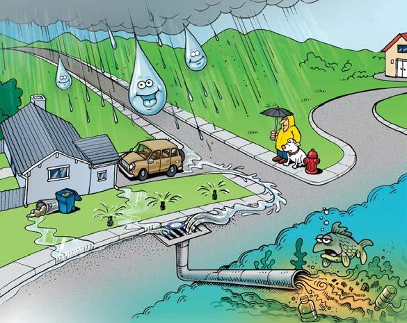 Pollutants flow into storm drains and out to a creek or river.