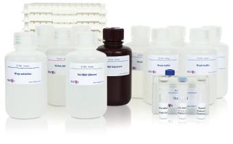 Our ELISA PRO kits feature pre-coated strip plates for reduced assay time and minimal assay variability.