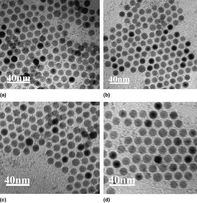 FIG. 1. Transmission electron micrographs of -Fe 2 O 3 nanocrystals prepared with various heating rates: (a) 5 C/min, (b) 15 C/min, (c) 25 C/min, and (d) 35 C/min. FIG. 2. X-ray powder diffraction patterns of -Fe 2 O 3 maghemite nanocrystals.