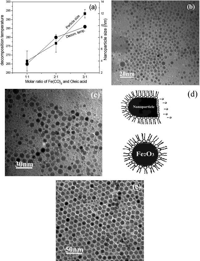 the evolution of the nanocrystals during synthesis and stabilization of the particles. D.