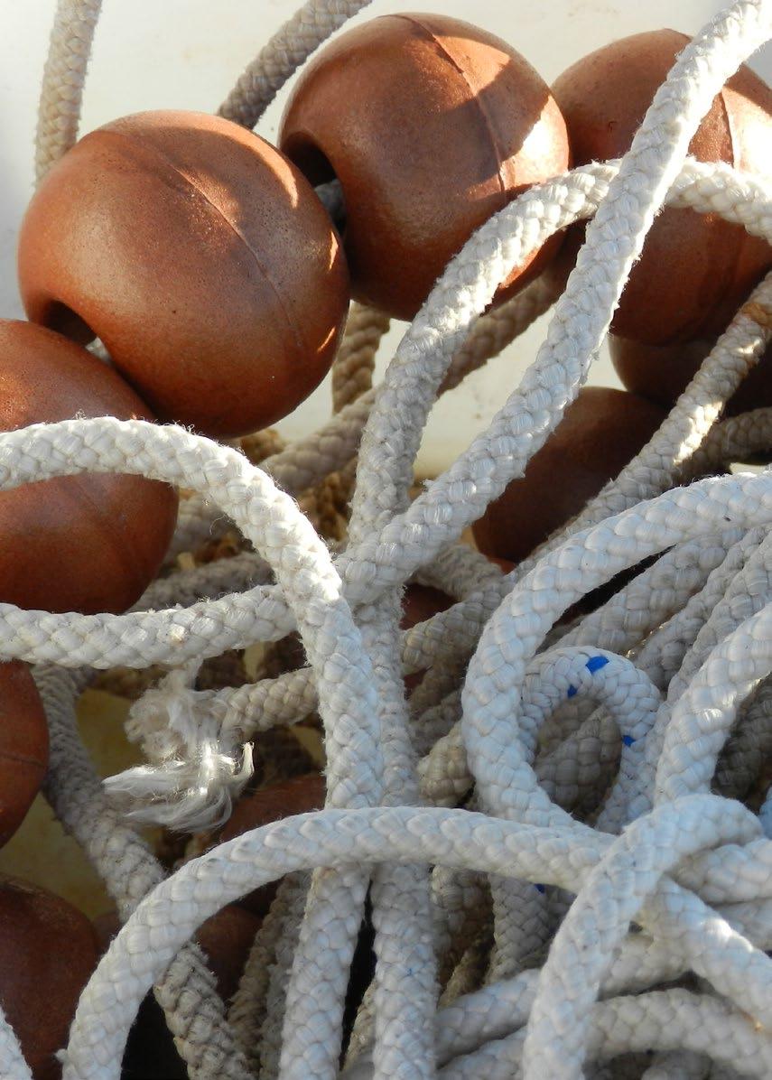 RECENT DEVELOPMENTS IN THE MEDITERRANEAN AND THE BLACK SEA Since 2013, much progress has been made to improve knowledge about small-scale fisheries and to enhance the management and support of this