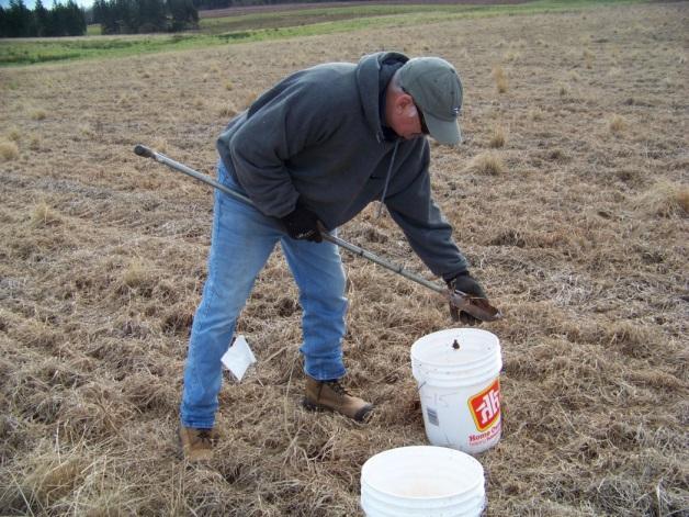 Fall plowing Spring plowing Round-up Fall plowing Spring plowing Soil sampling results Site